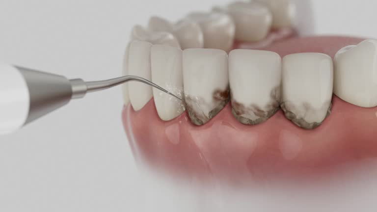 Reliable Dental contractor in Sanford, NC by Dentist Open Now